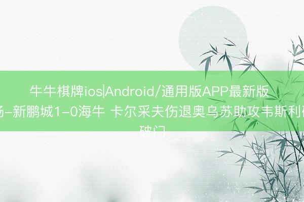 牛牛棋牌ios|Android/通用版APP最新版 半场-新鹏城1-0海牛 卡尔采夫伤退奥乌苏助攻韦斯利破门