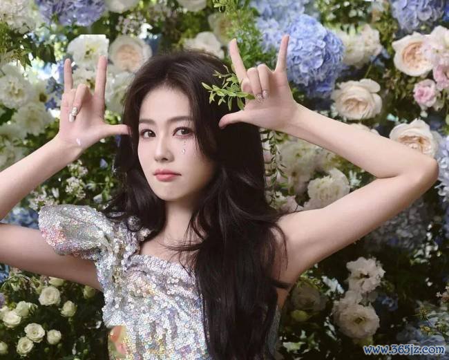 白鹿路东说念主缘 为何屡遭质疑?