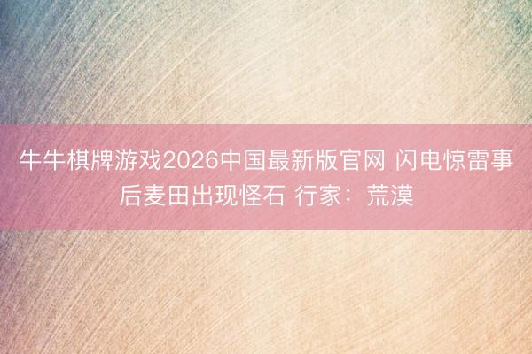 牛牛棋牌游戏2026中国最新版官网 闪电惊雷事后麦田出现怪石 行家:荒漠